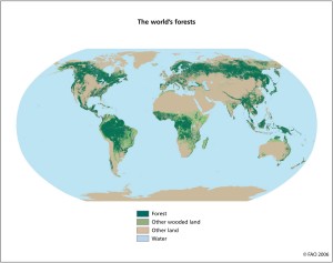 o_Boques en zonas ecológicas Globales